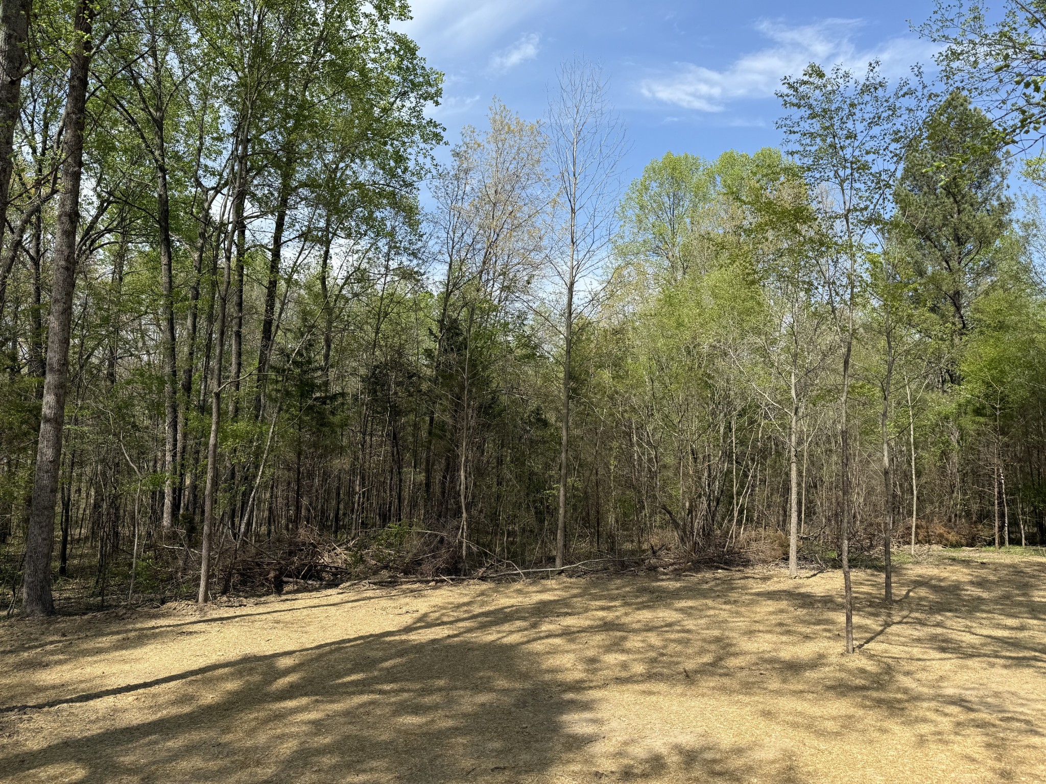 202 Carter Ridge Rd
