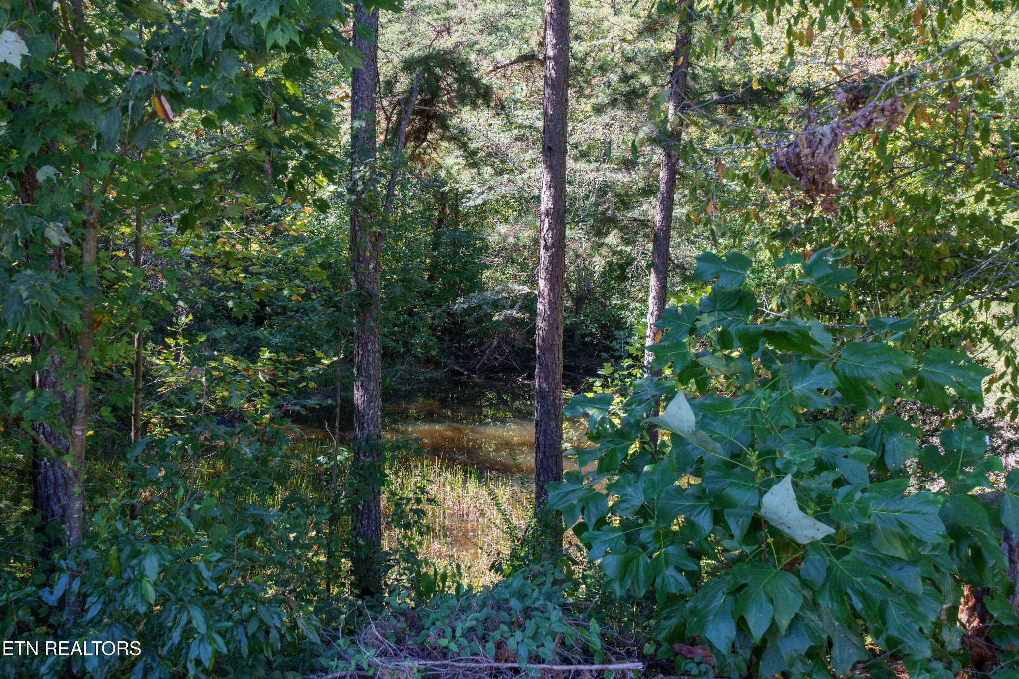 3637 Leatherwood Ford Rd