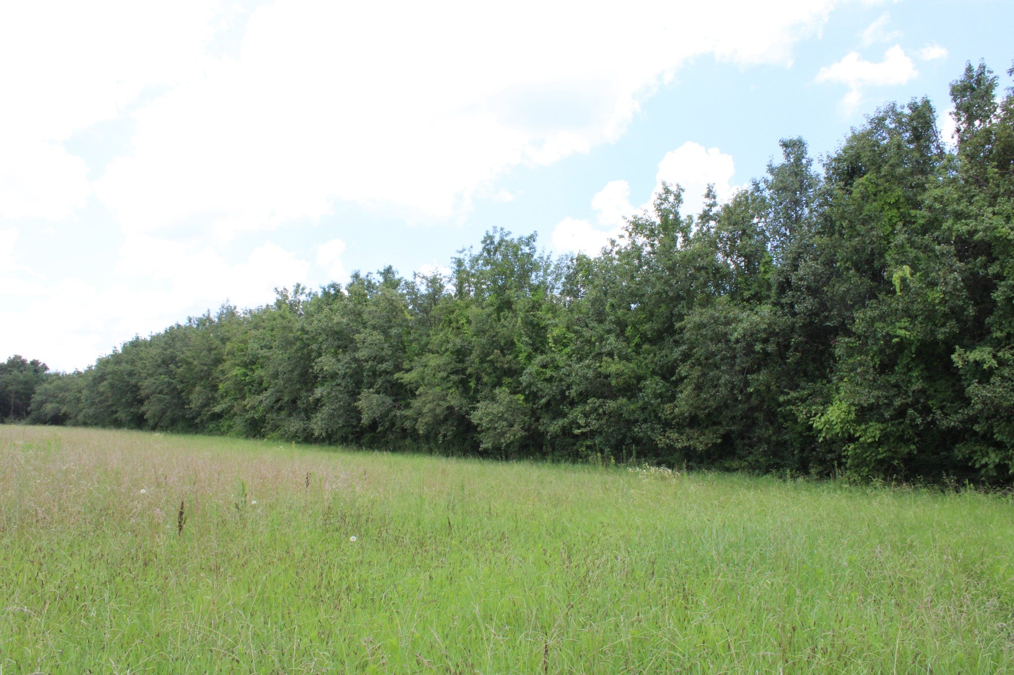 0 Myers Cove Rd
