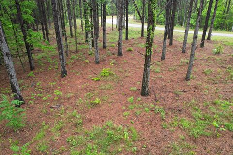 628 Starlight Dr Linden TN 37096