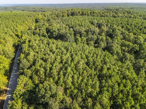 Photo of 0 Brush Creek Rd, Hohenwald, TN 38462 (MLS # 3001251)