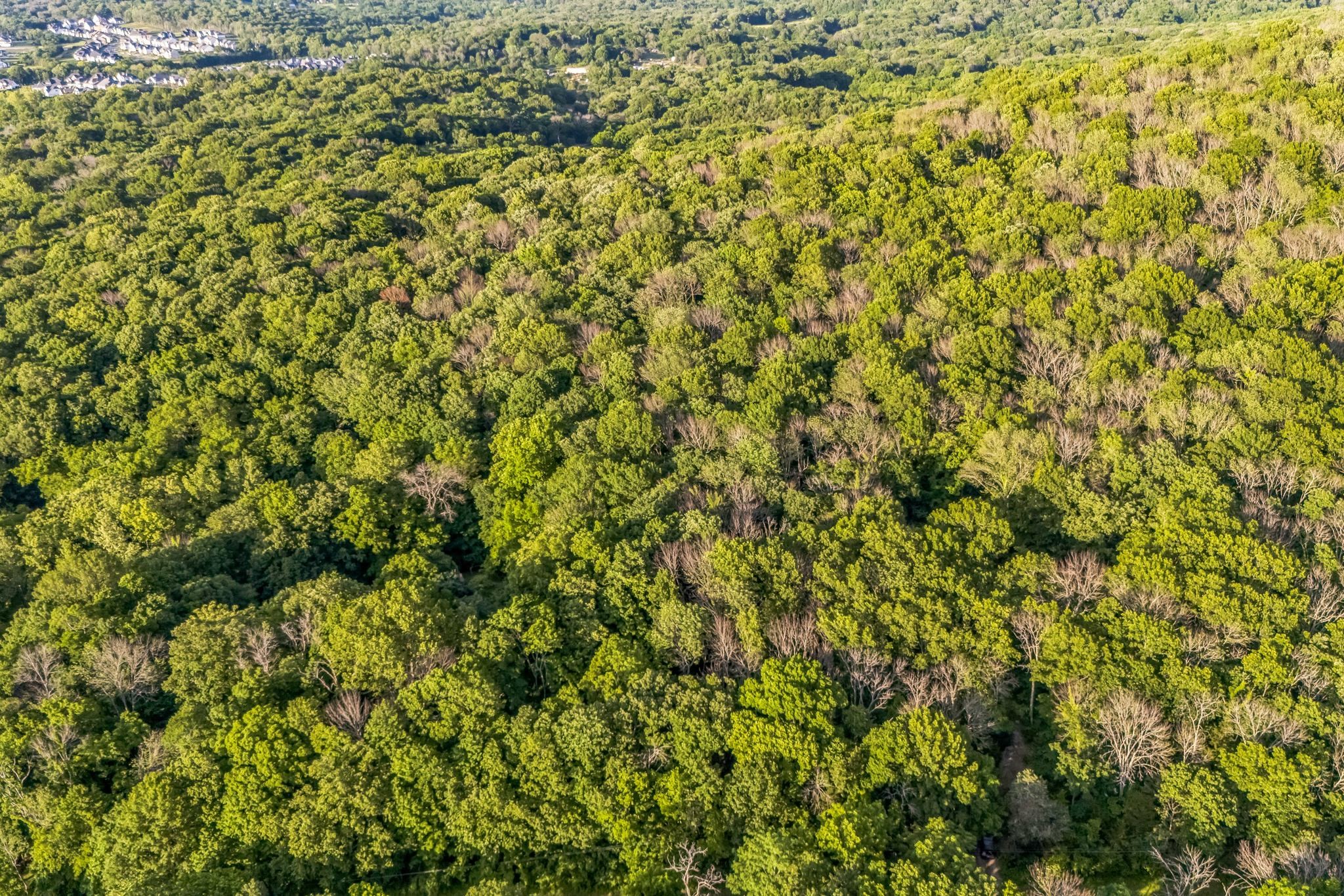 Middle Tennessee Properties 2 0 Sanford Rd