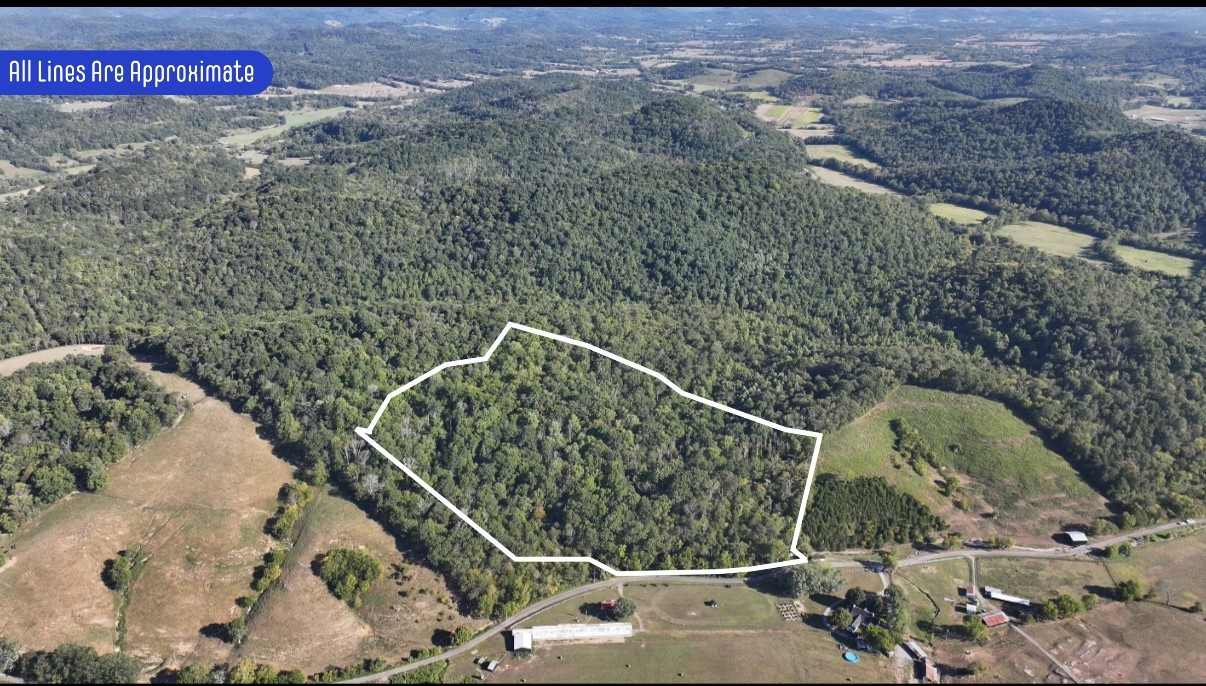 10 Cedar Bluff Road