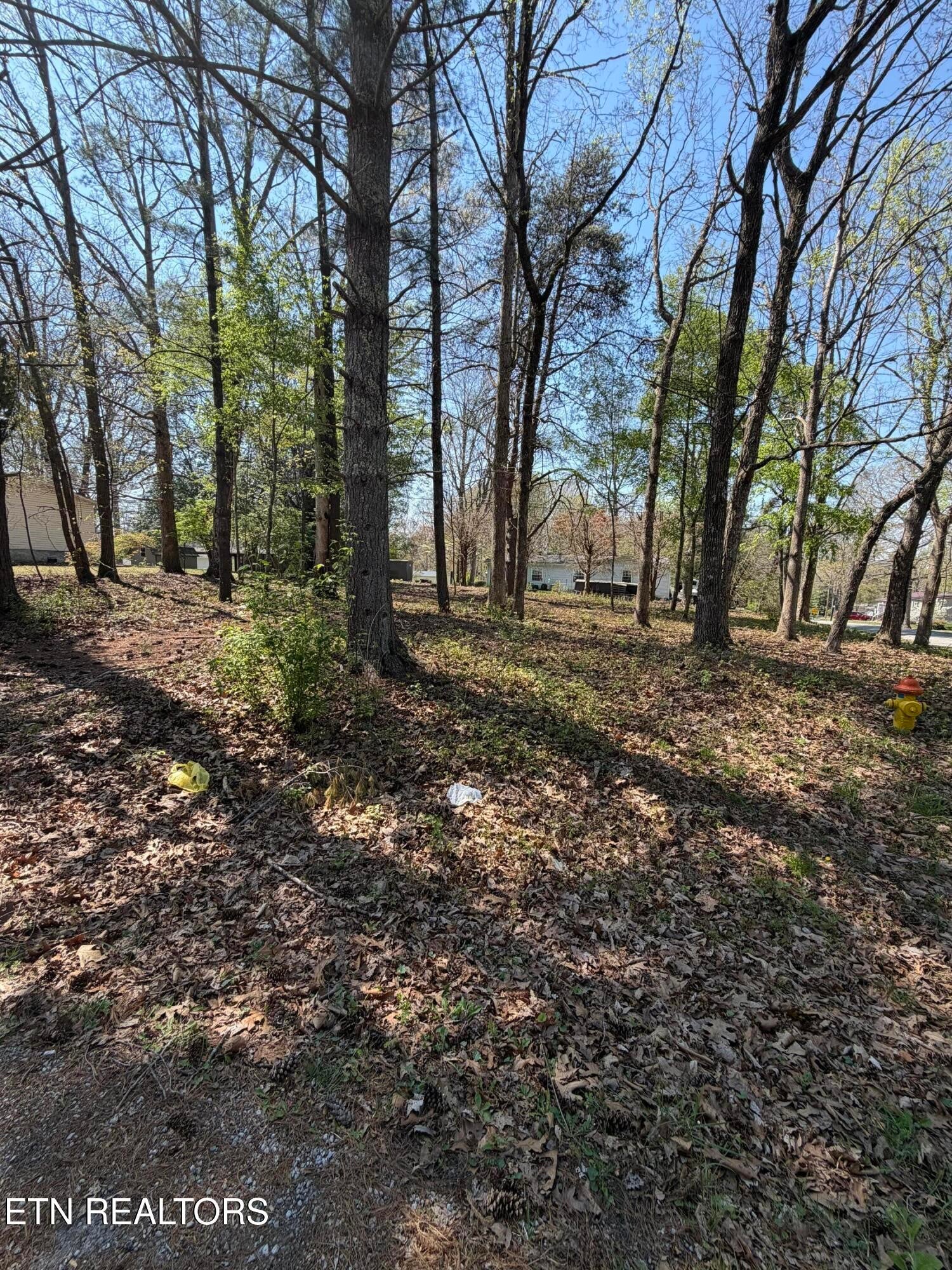 319 Dartmoor Drive
