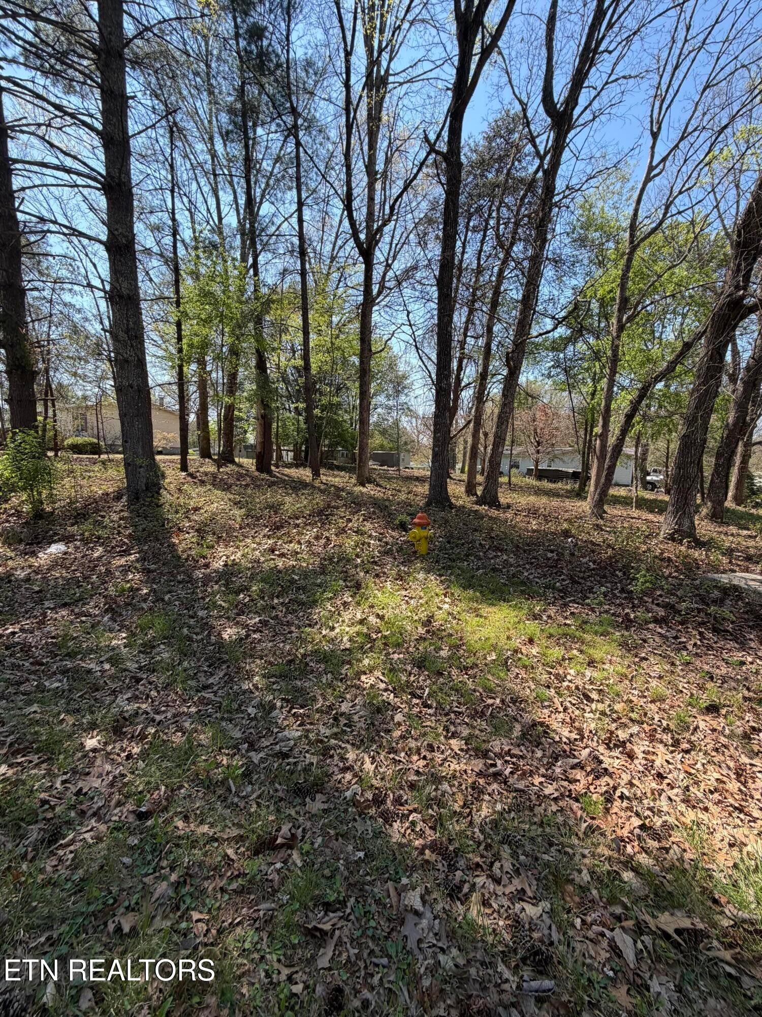 319 Dartmoor Drive