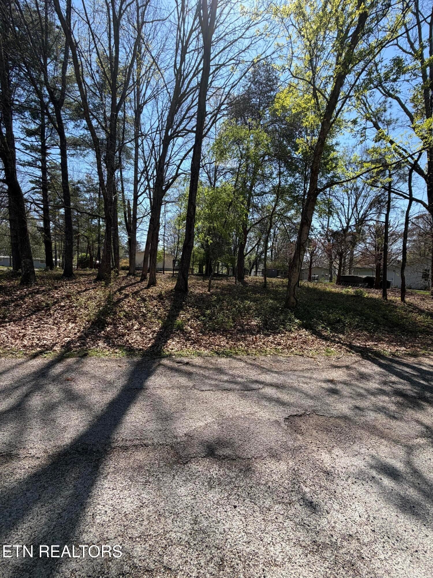 319 Dartmoor Drive
