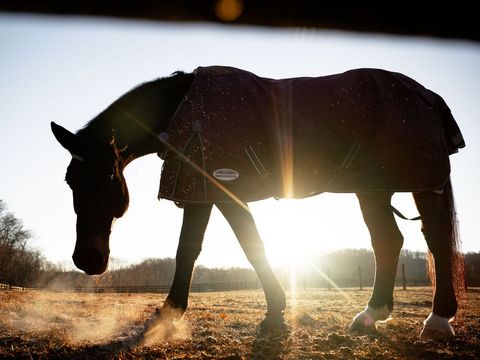 1100 Camwood Way Franklin TN 37064