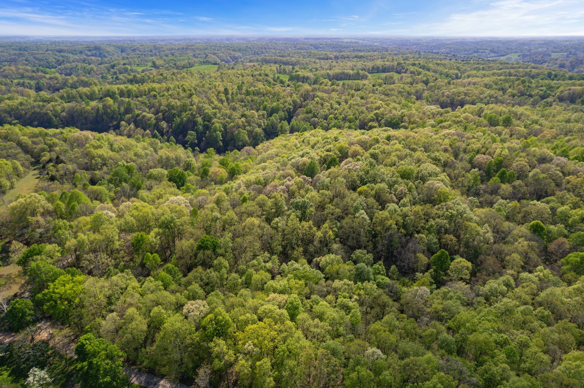 1555 Dog Hollow Road