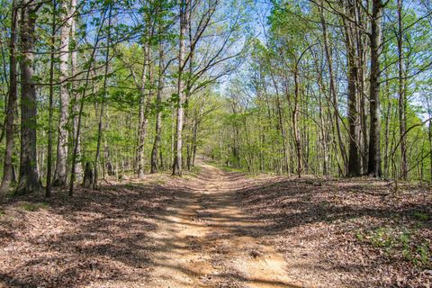 1555 Dog Hollow Road Lynnville TN 38472