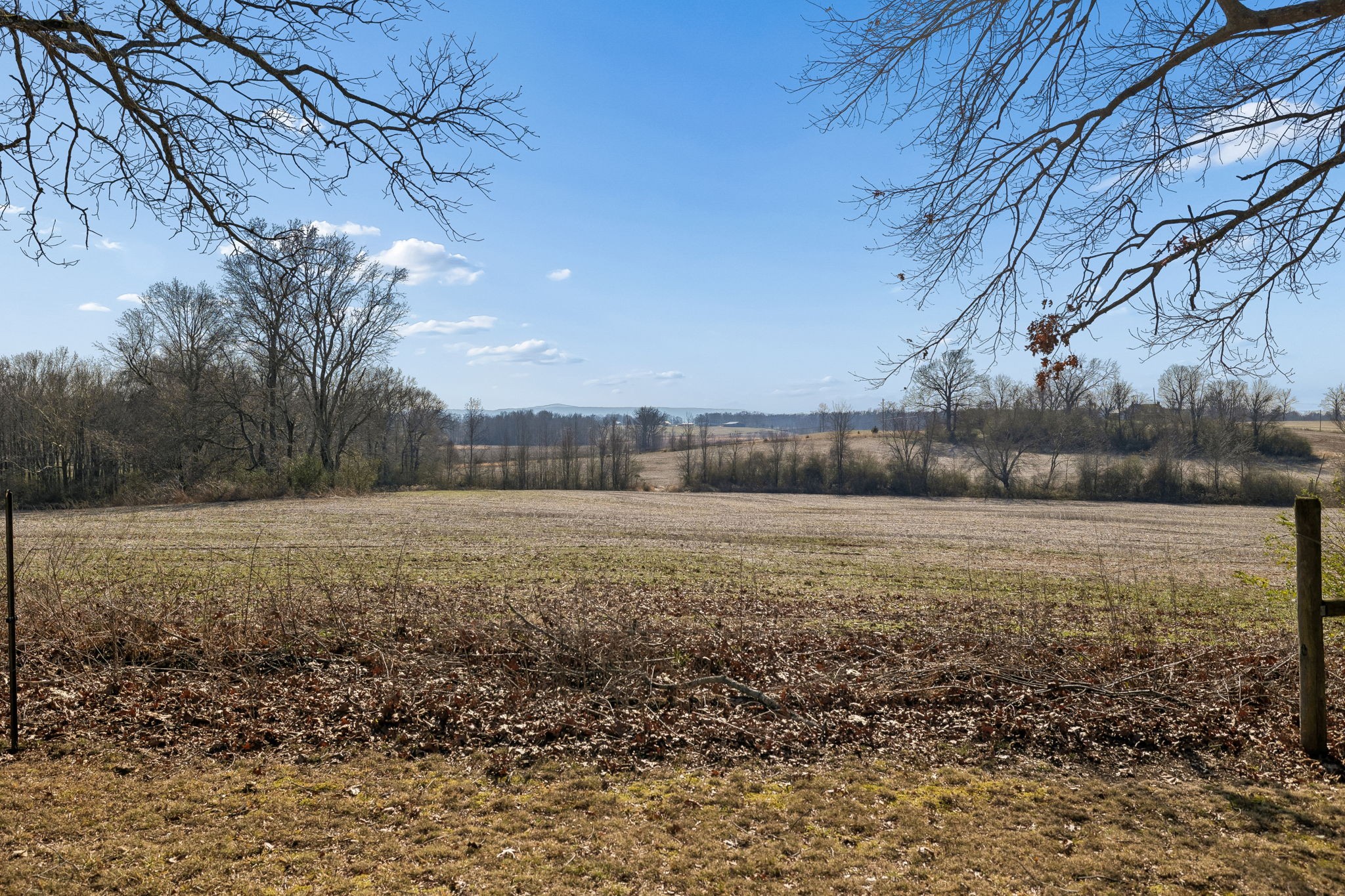 524 Willie Jarvis Rd