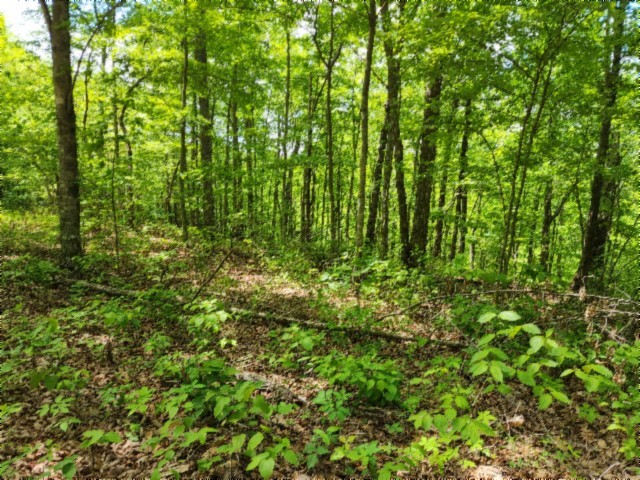 0 Forest Trail Lane