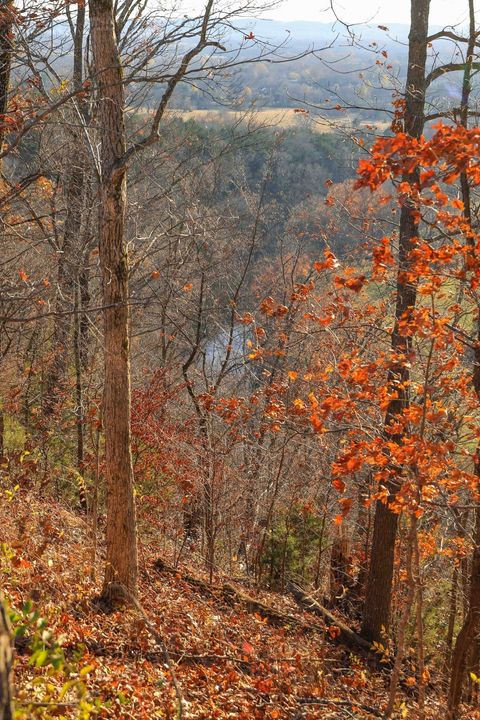 Photo of 2064 Hillsboro Rd, Franklin, TN 37069 (MLS # 3038754)