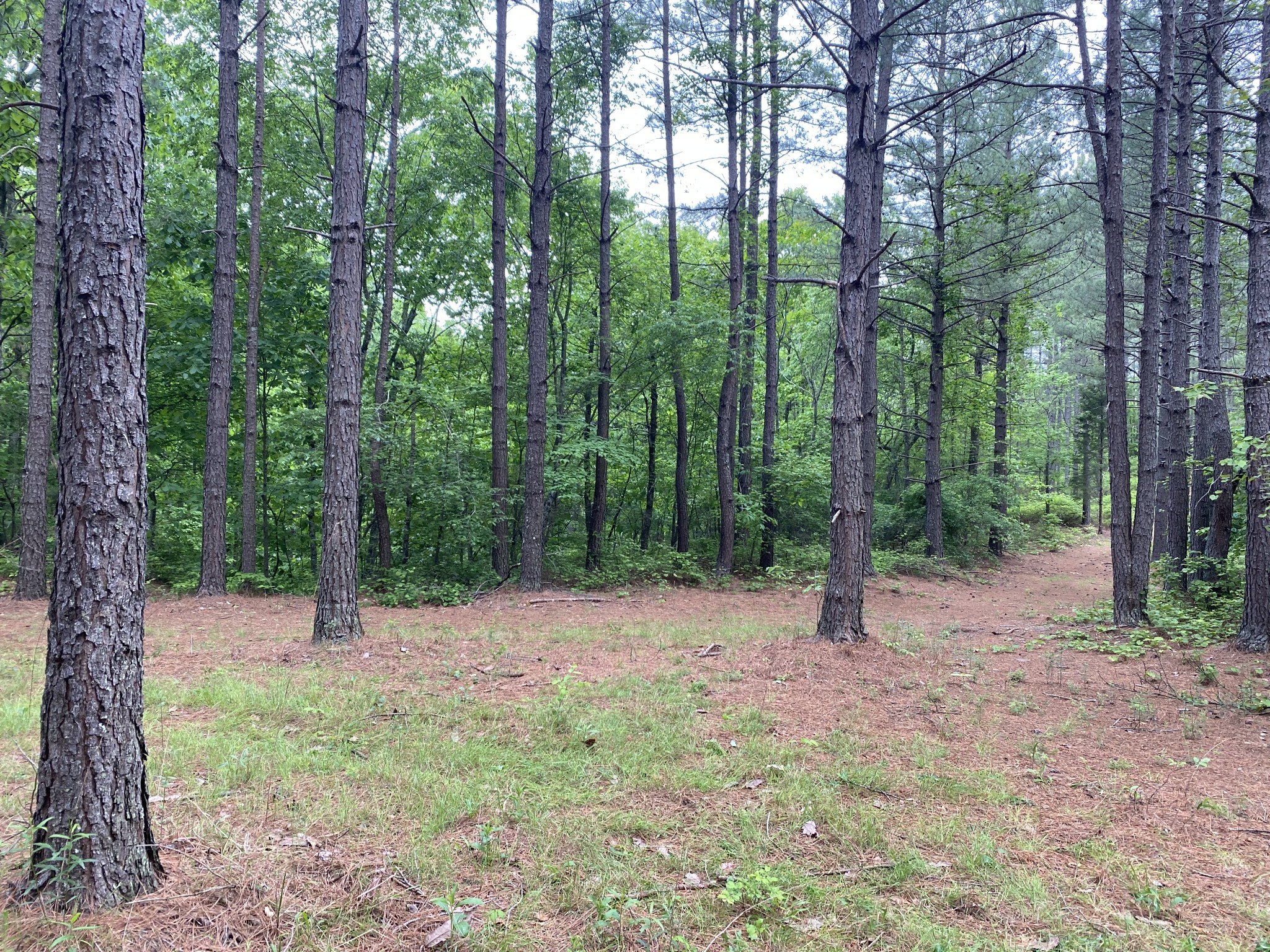 2355 Richland Harbor Rd