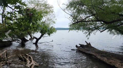 2355 Richland Harbor Rd Waverly TN 37185