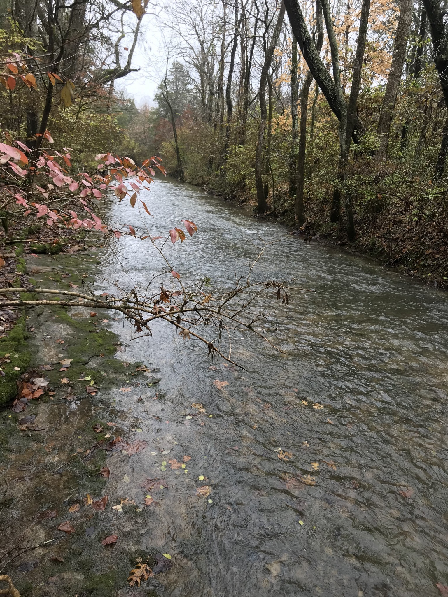 2390 Benders Ferry Rd