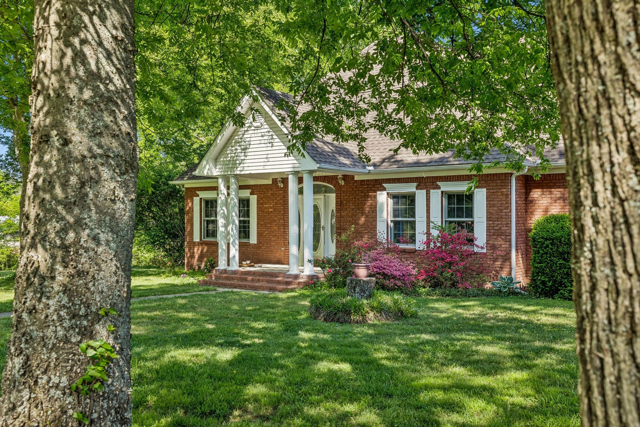 1019 Hilton Ln - Photo 4