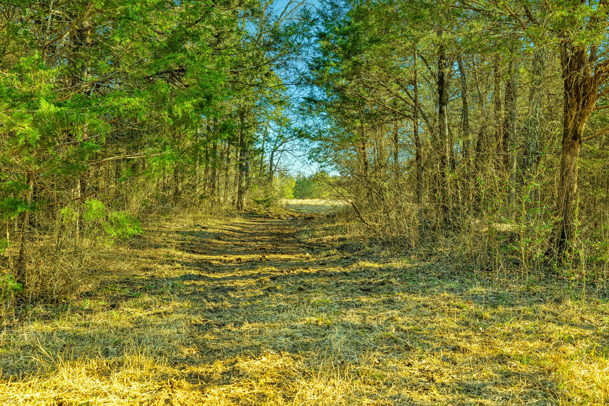 0 Hunter Bills Rd