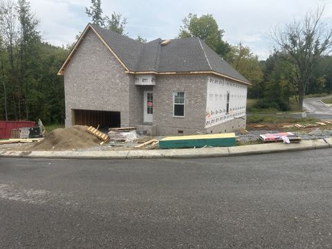 1 Bear Branch Circle Joelton TN 37080