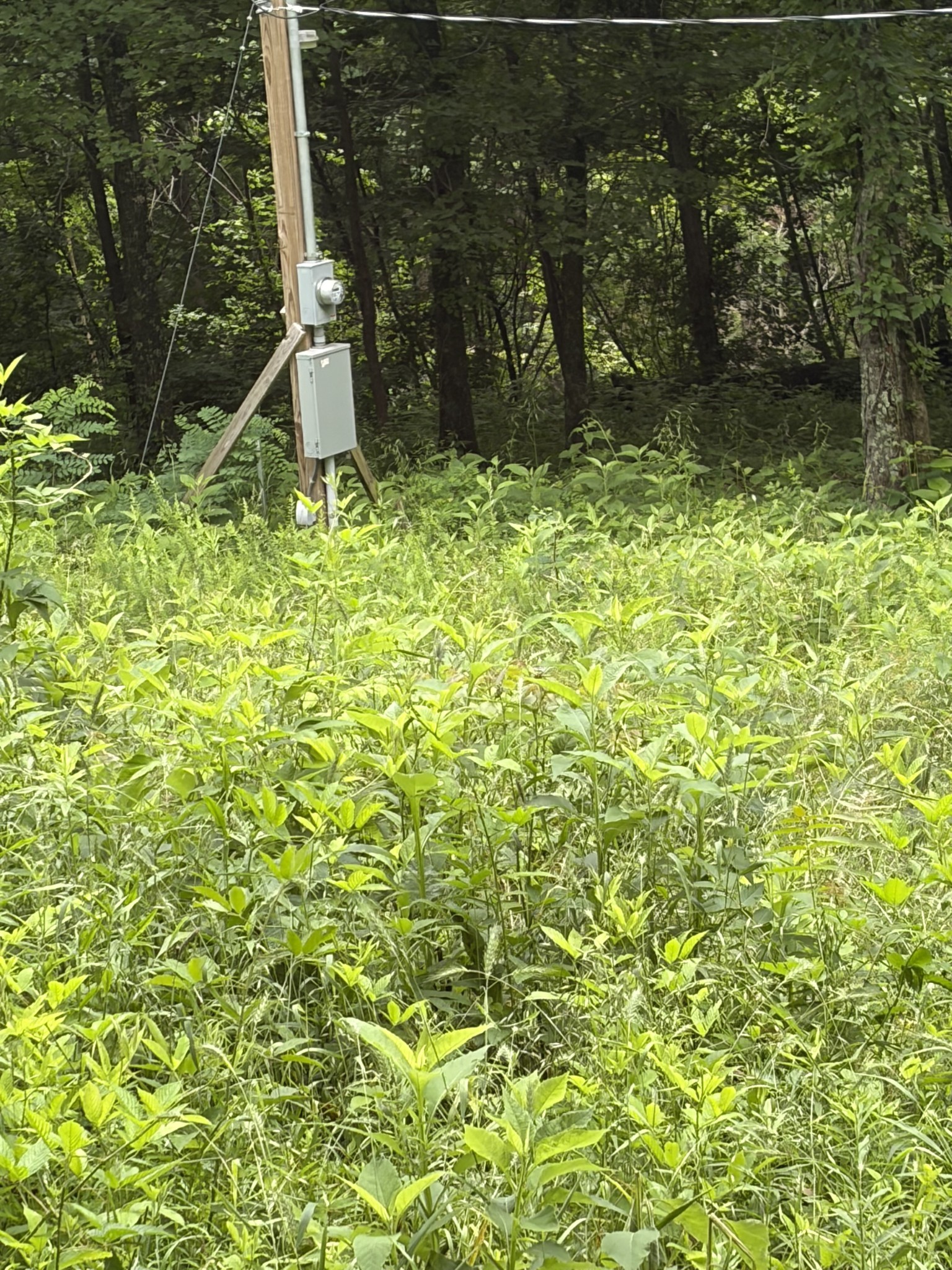 1299 Dixon Town Rd