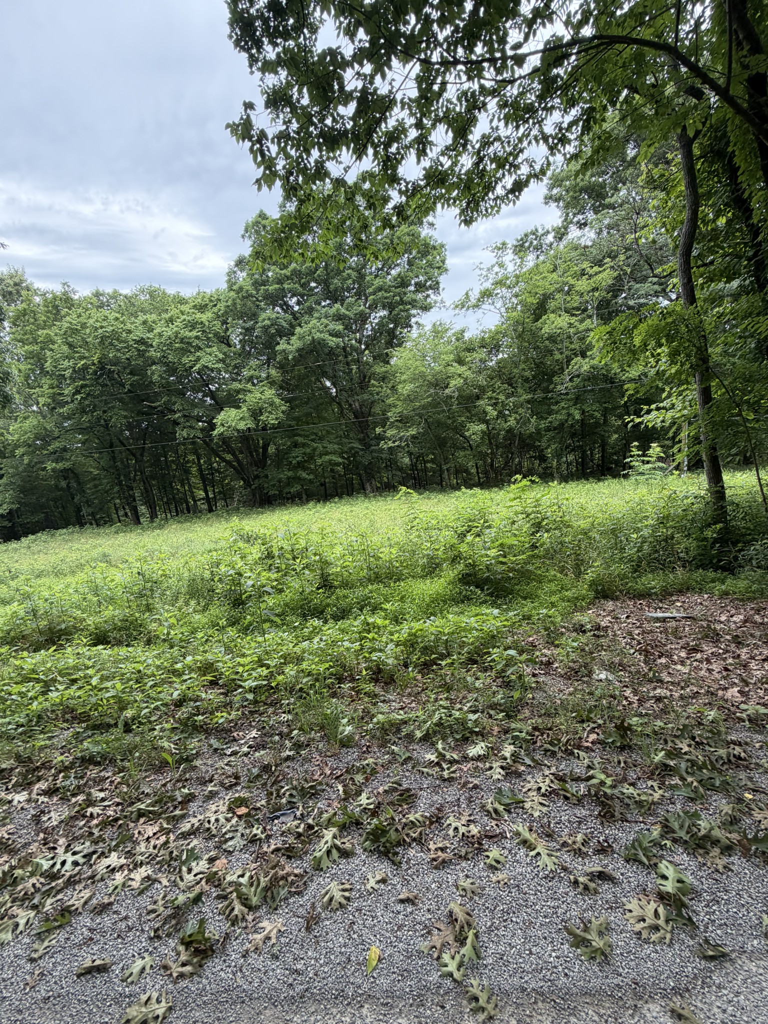 1299 Dixon Town Rd