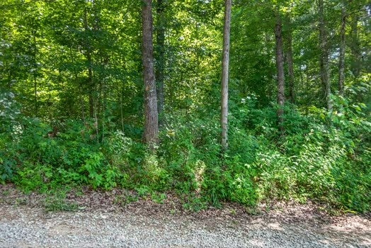 0 Eagle Lane