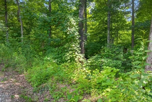 0 Eagle Lane