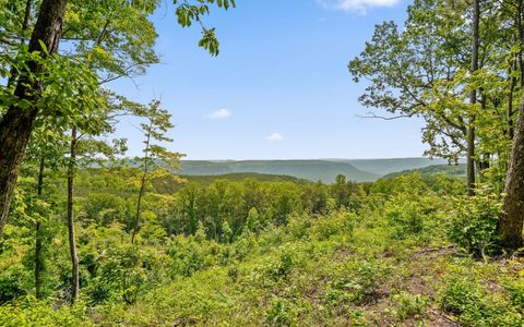 2222 High Ground Road Guild TN 37340