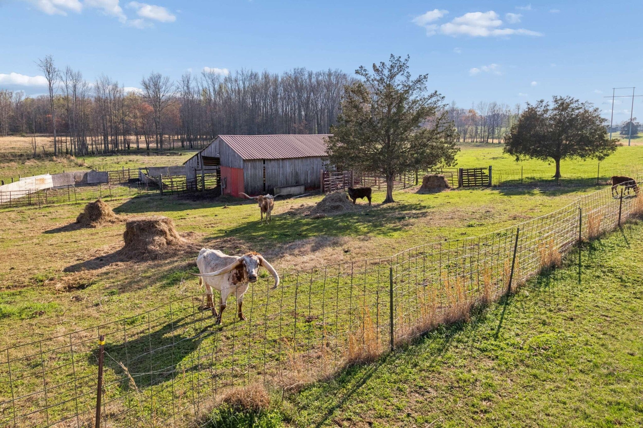 324 Laster Holman Lane