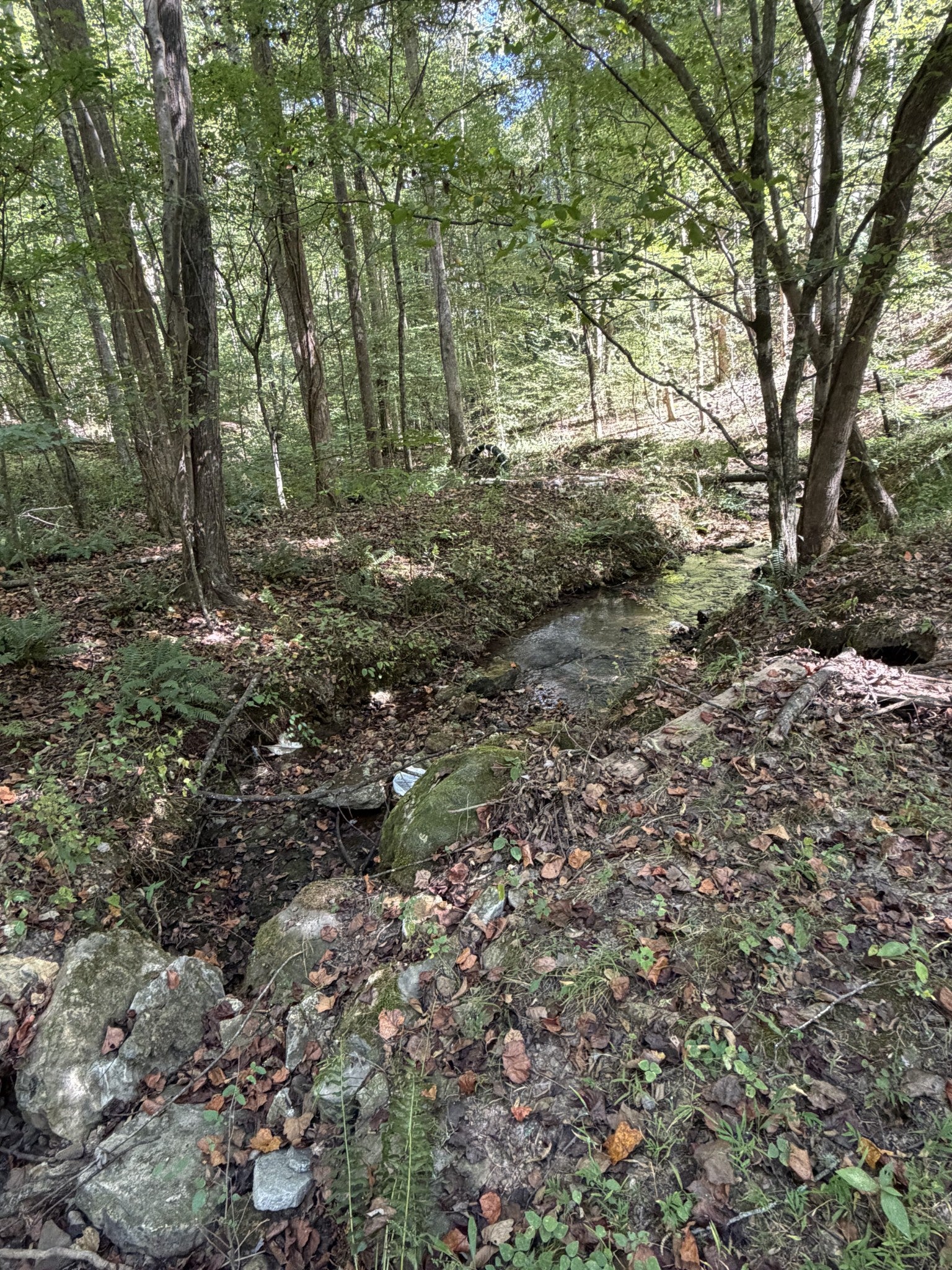 1263 Cedar Grove