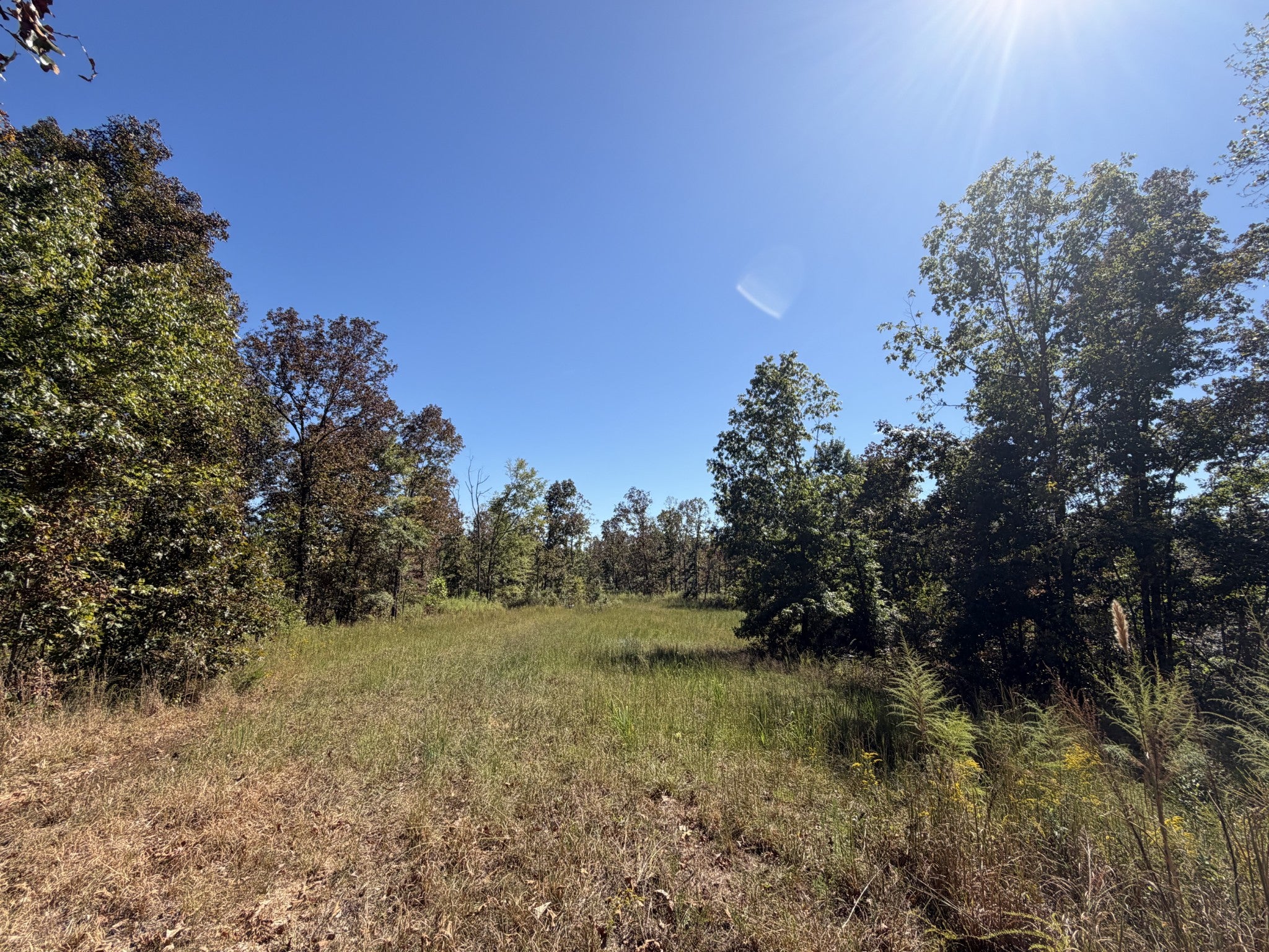 1263 Cedar Grove