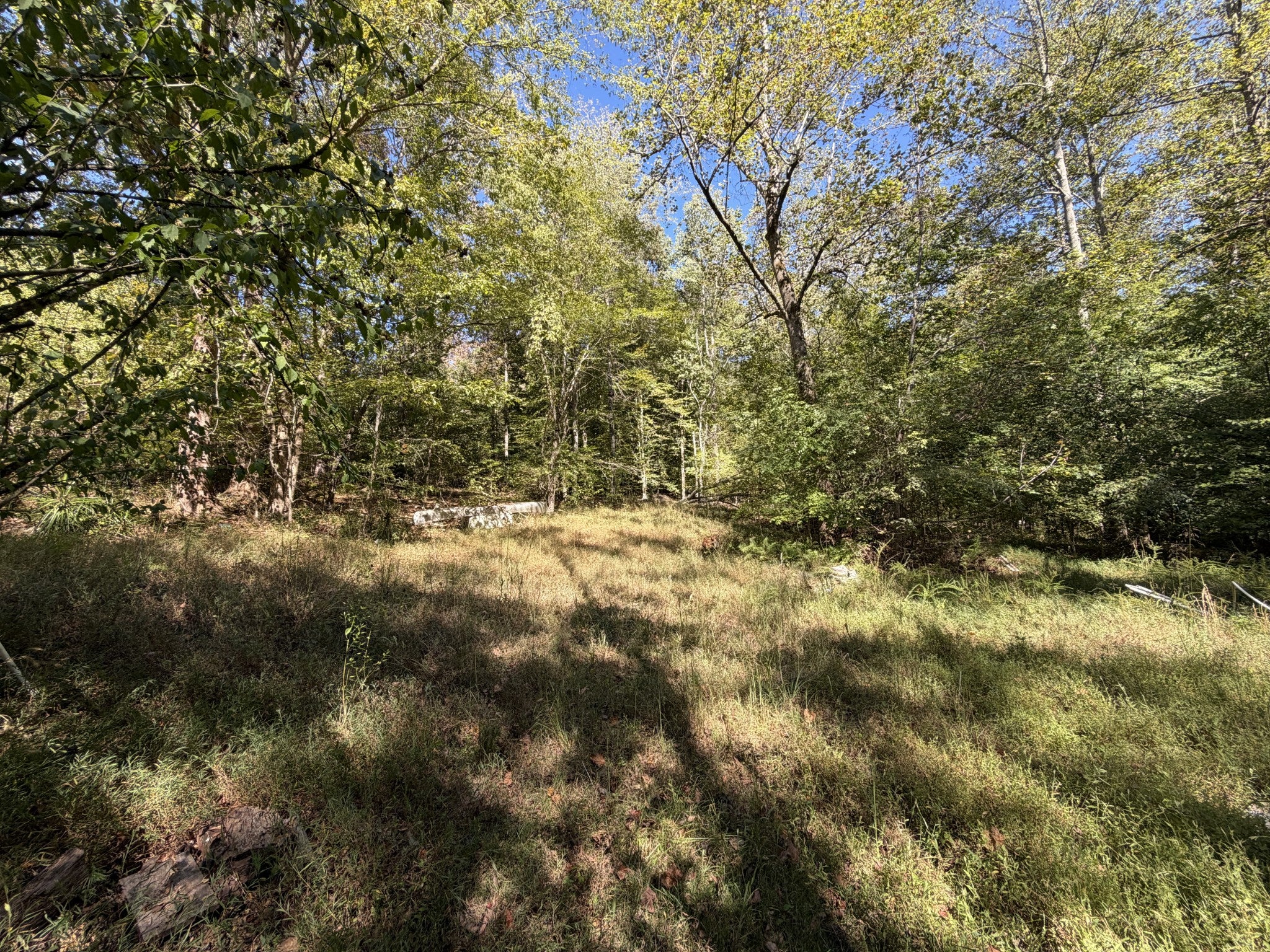 1263 Cedar Grove