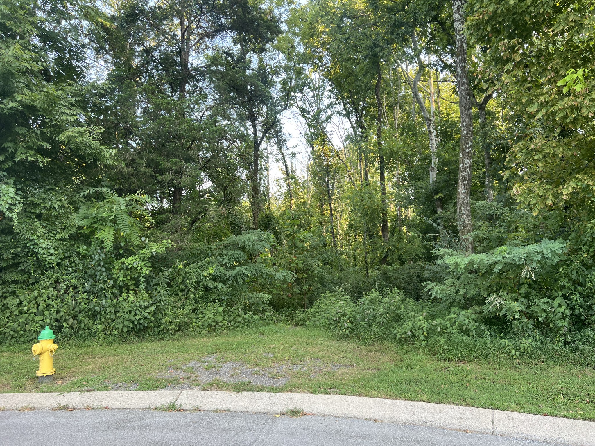 0 Brookwood Lane