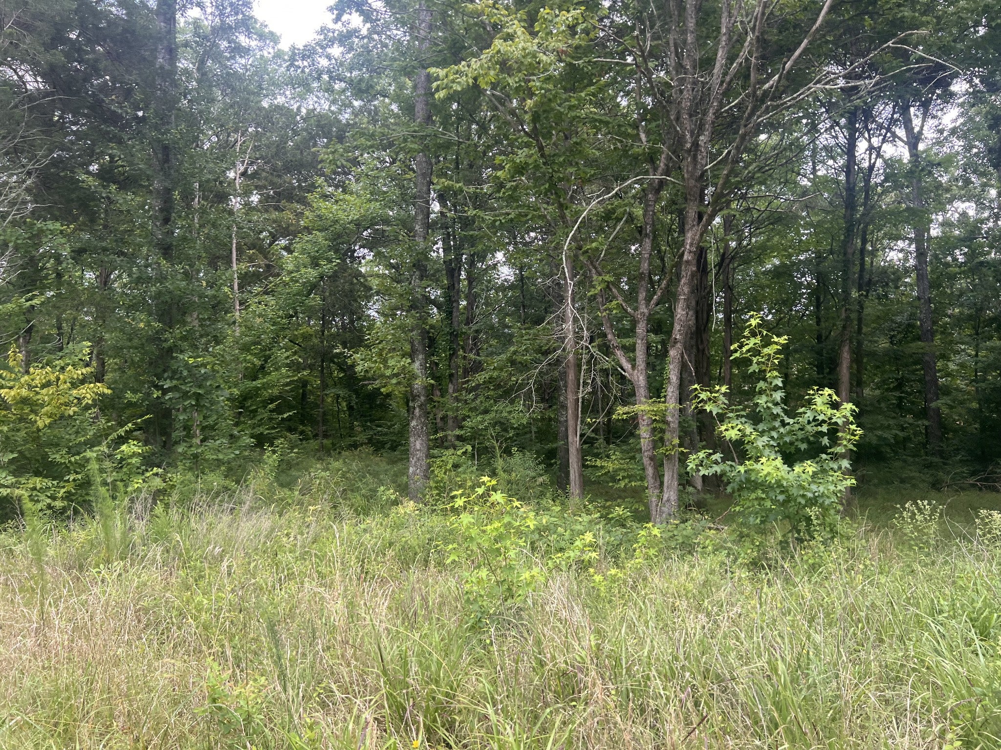 2 Toms Creek Lake Rd