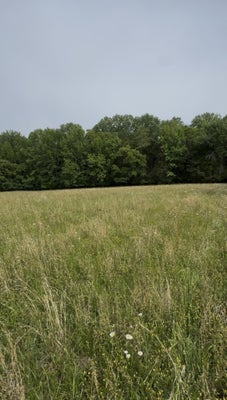 0 RIVERVIEW ROAD, MOUNT JULIET, TN 37122 - Image 94e1f4d73300a1afa7e9b66d8f2b1f8b/1839990004