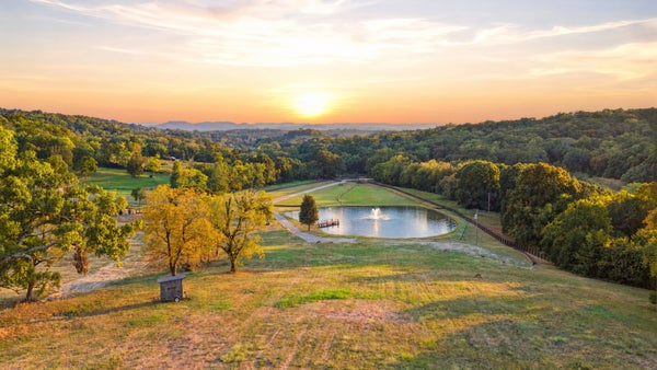 1770 MOLLY HOLLOW RD, NOLENSVILLE, TN 37135 - Image 94f97112967f8d6749a1ea81908c895f/3272996641