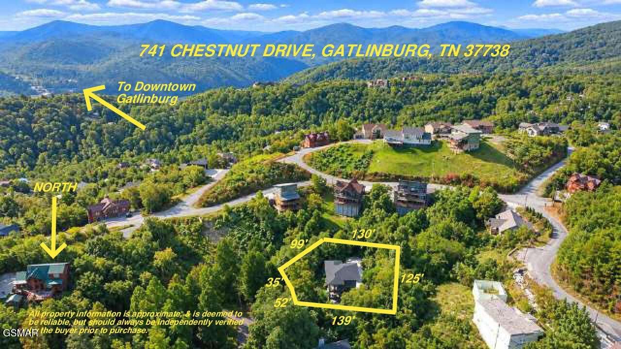 741 Chestnut Drive
