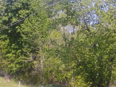 Featured picture for the property 2247710