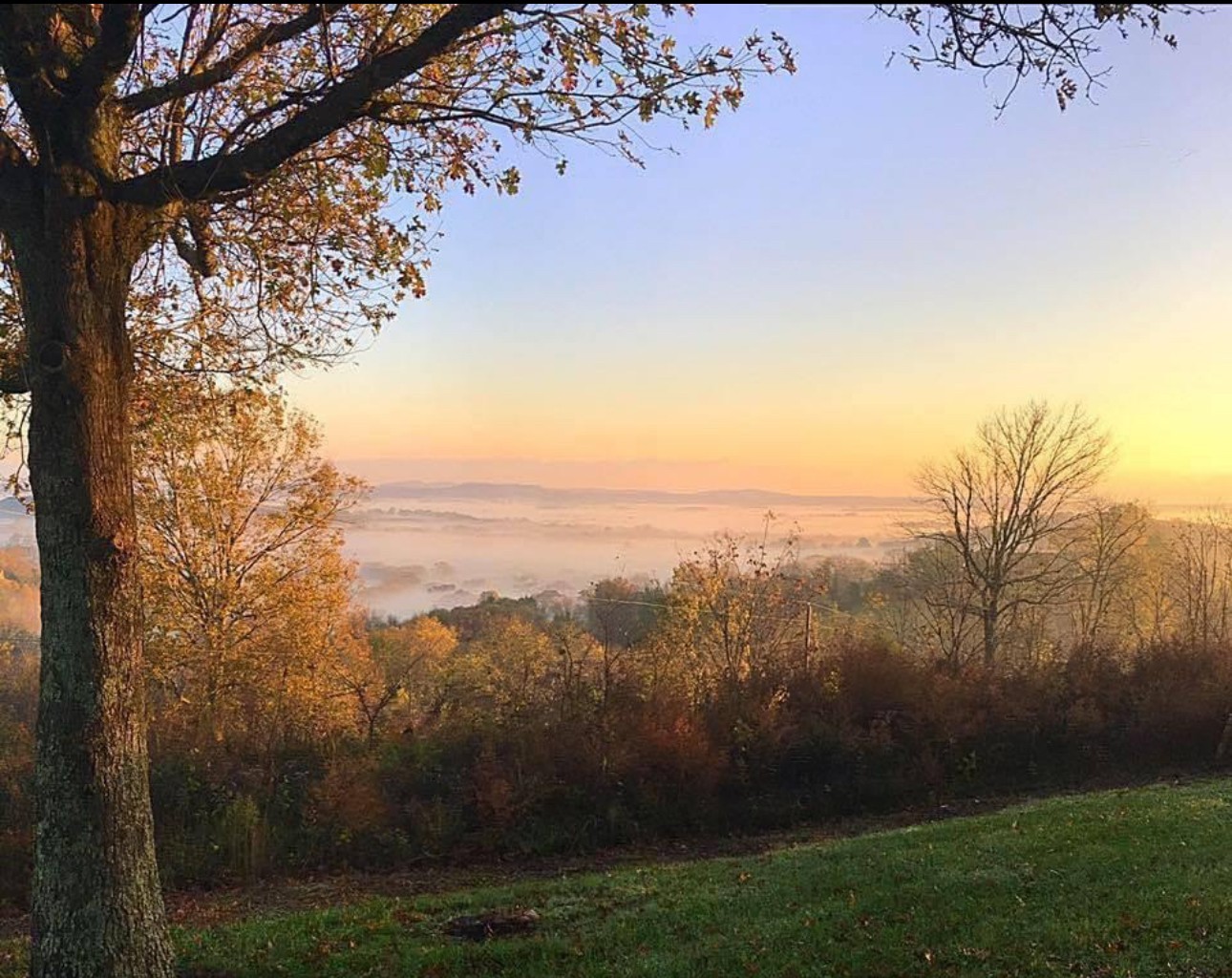 Middle Tennessee Properties 3 1489 Cheatham Springs Road