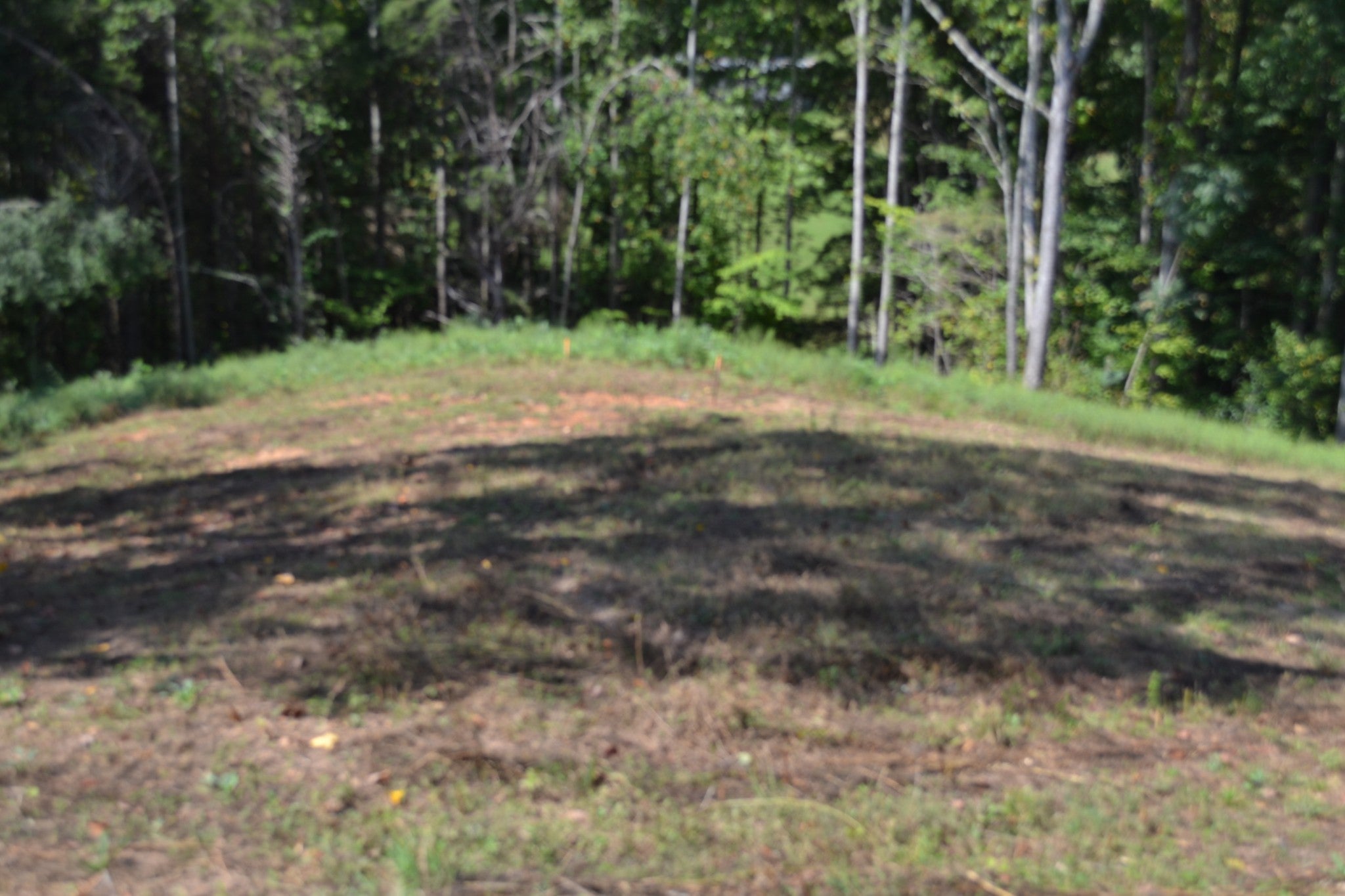 2376 Pea Ridge Fire Town Rd