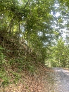 0 Meadow View Road