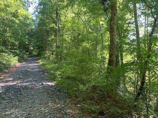 47 Crow Rd
