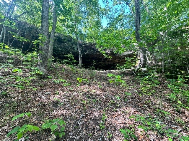 0 Bear Knob Ln