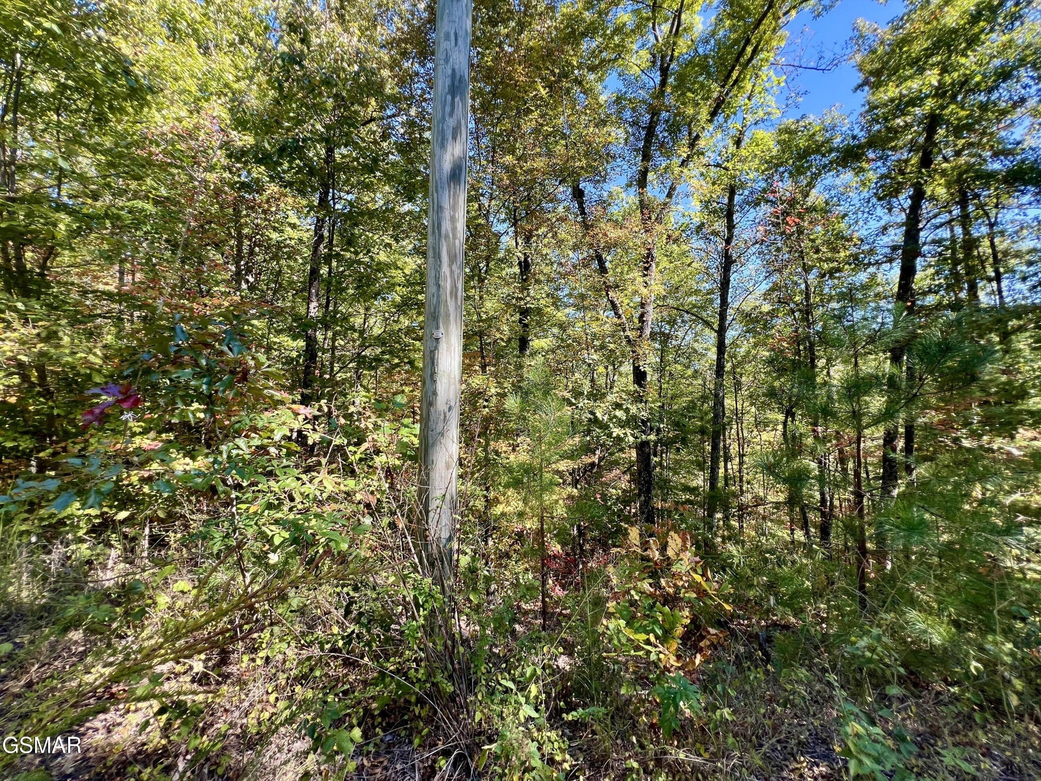 561 Creek Hollow Way