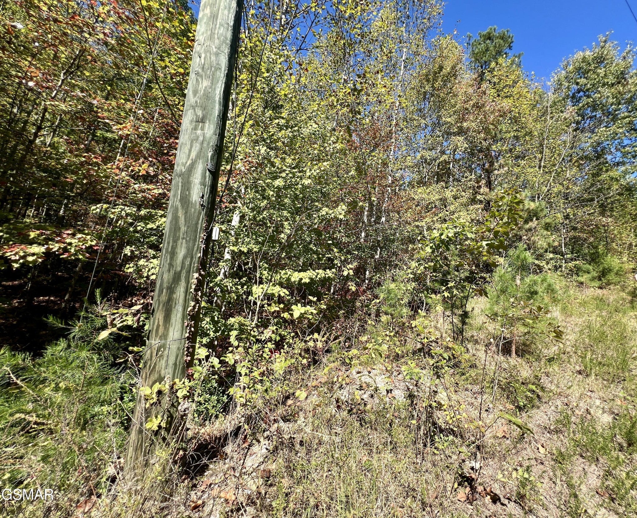 561 Creek Hollow Way