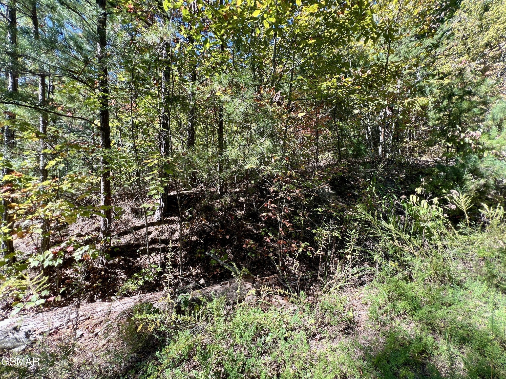 561 Creek Hollow Way