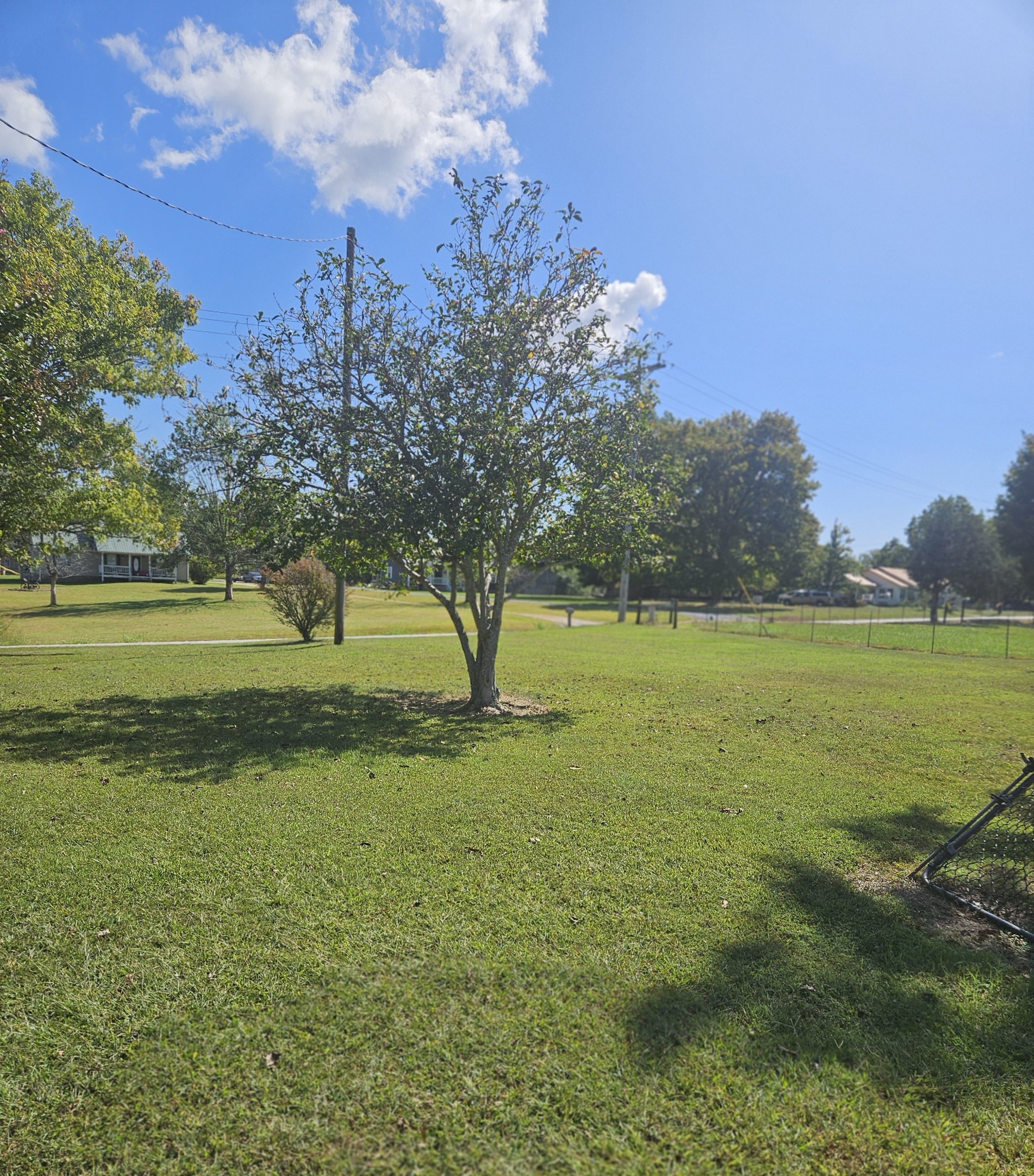 1332 Carthage Rd