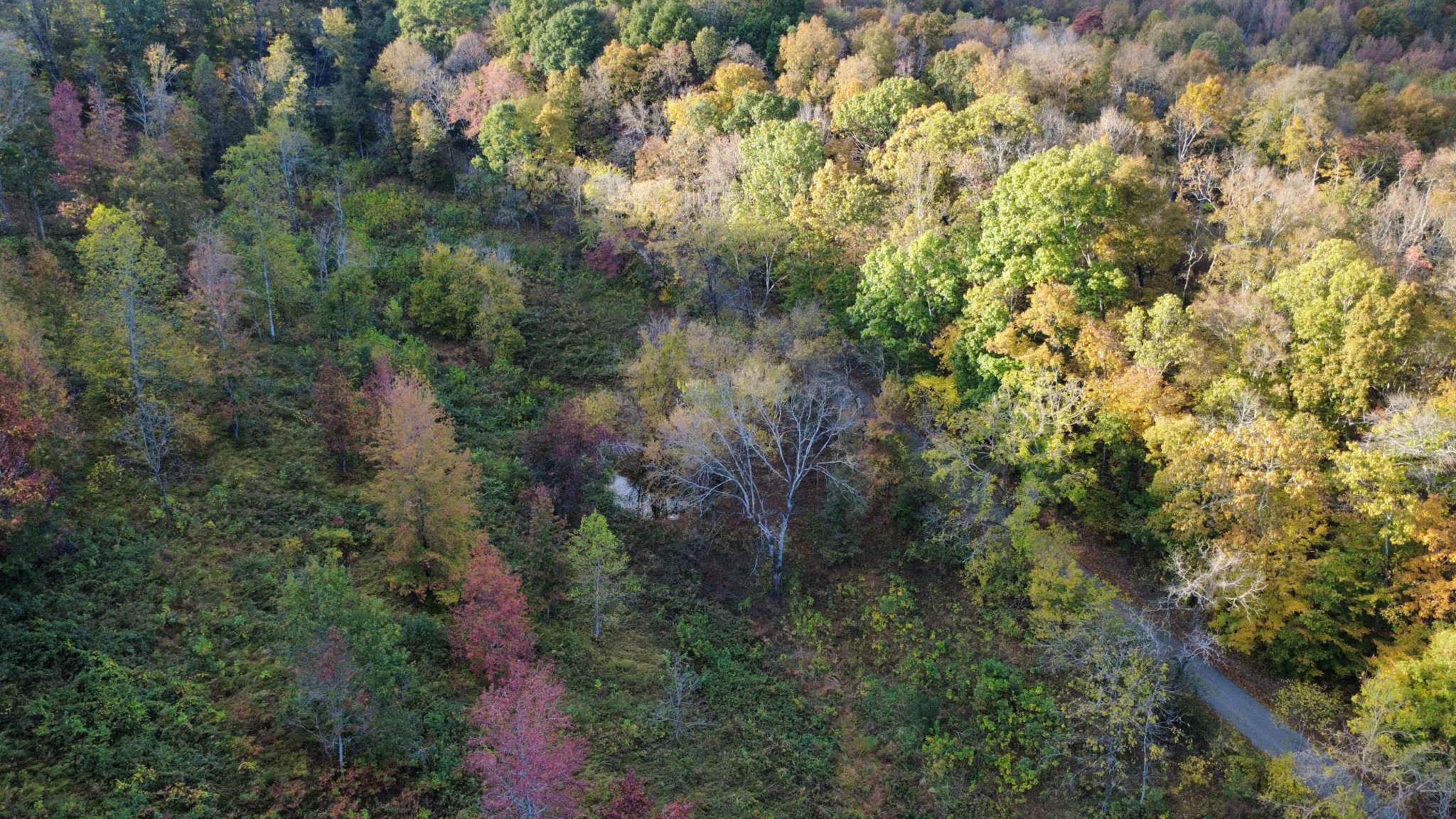 440 Big Spring Hollow Rd