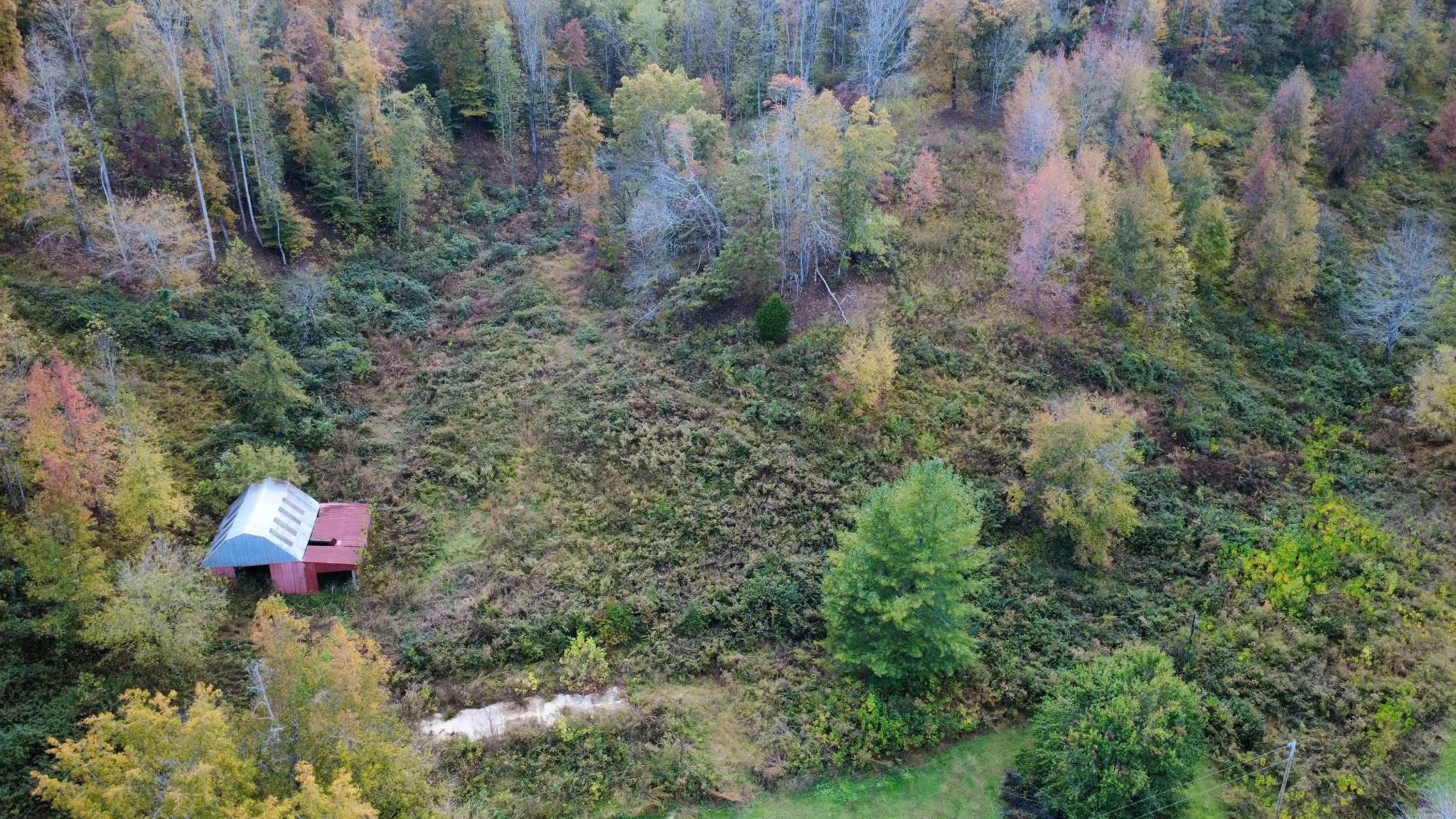 440 Big Spring Hollow Rd