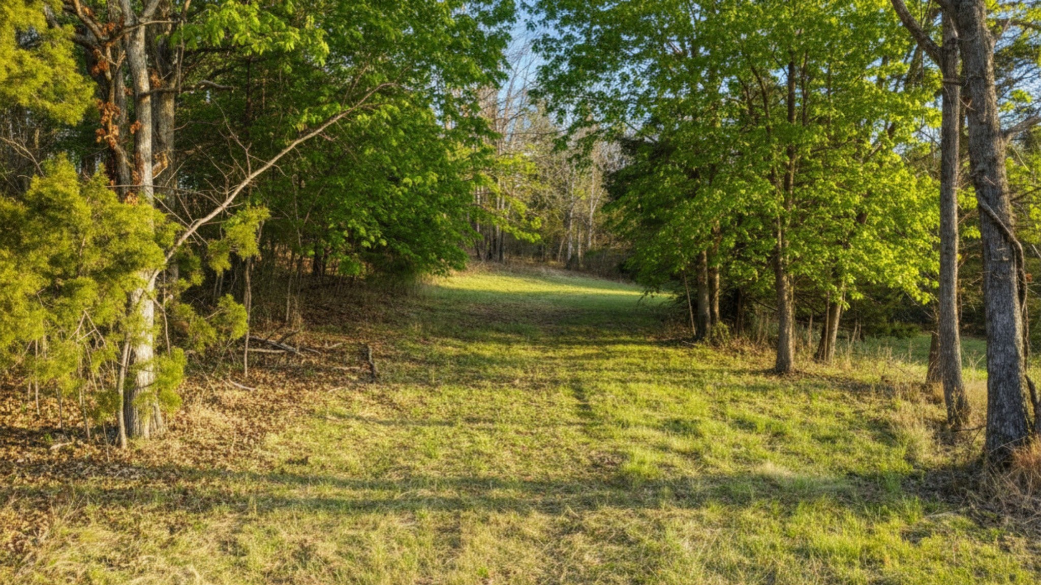 1672 Rabe Coats Rd