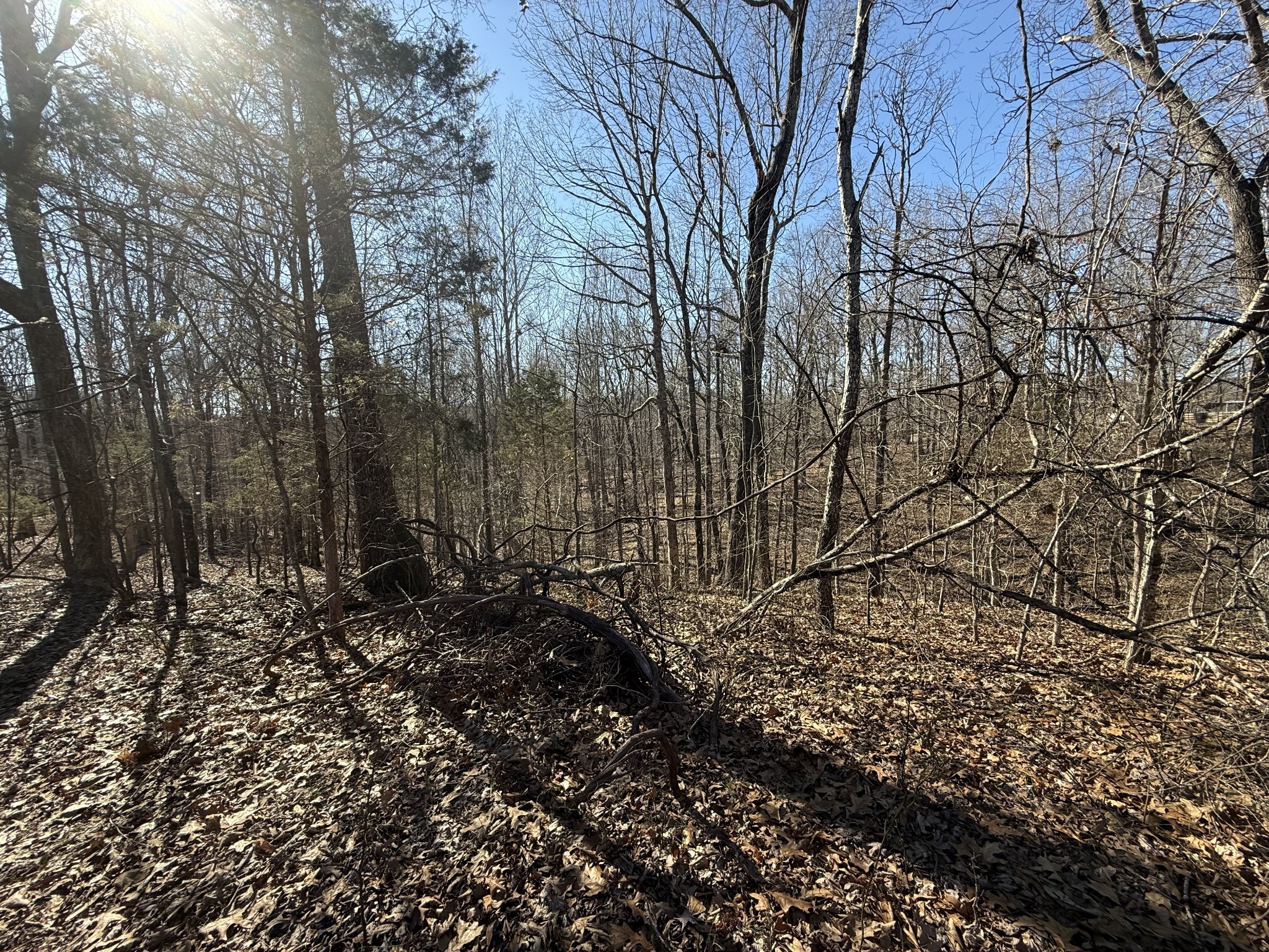 34 Backwoods Estates